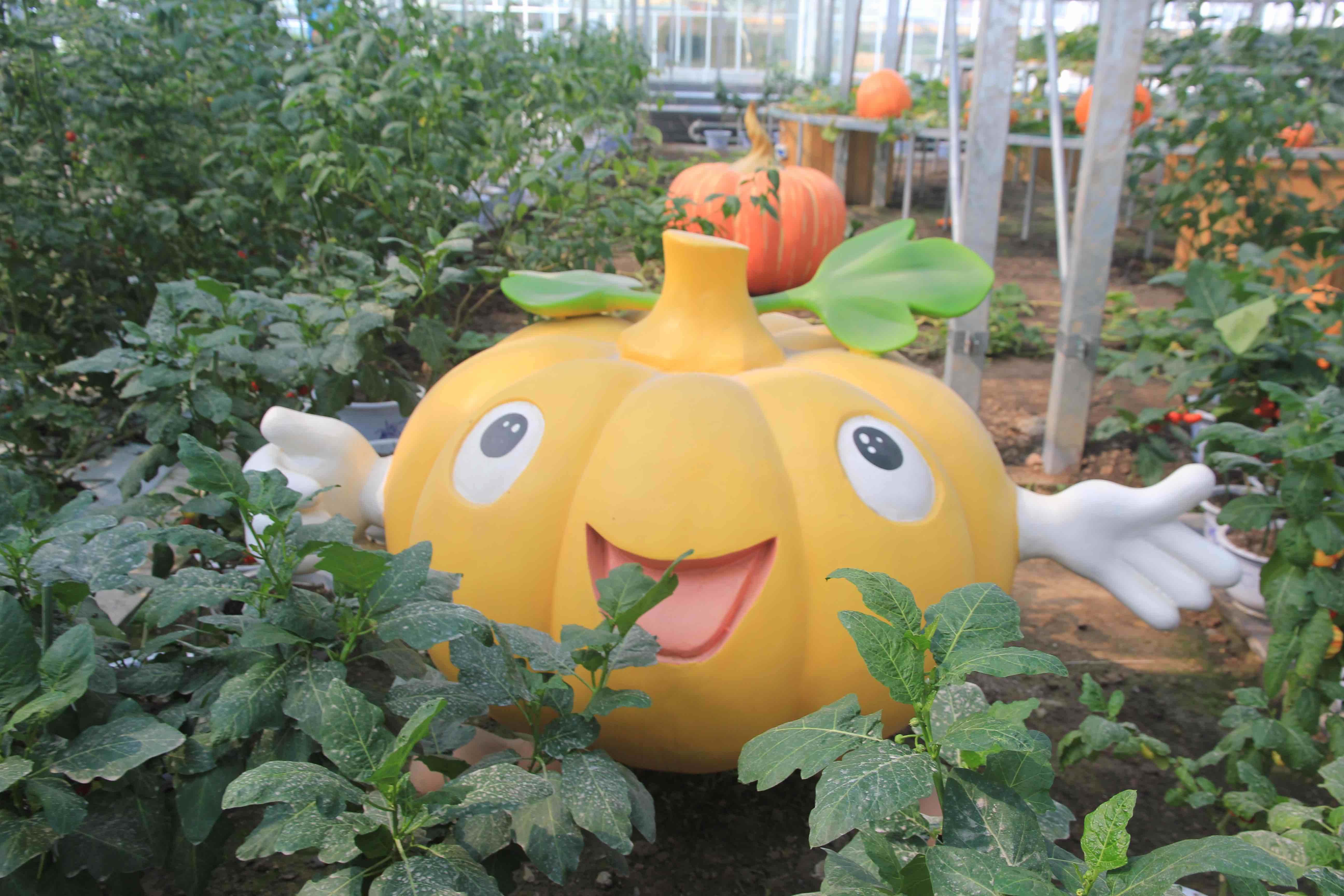 ����䓵���