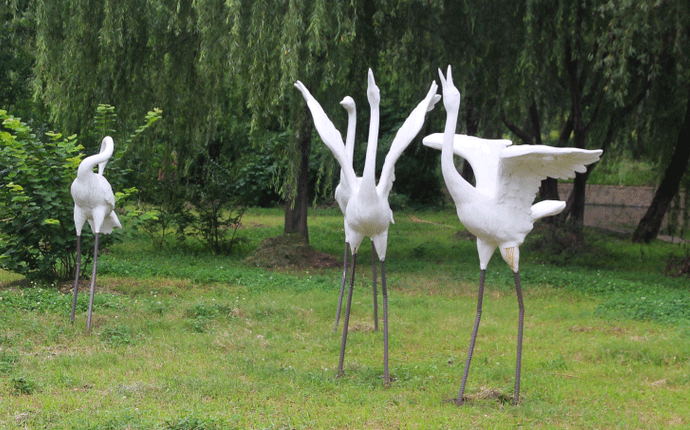 ������ô�@ô�ÿ�������䓵����f��