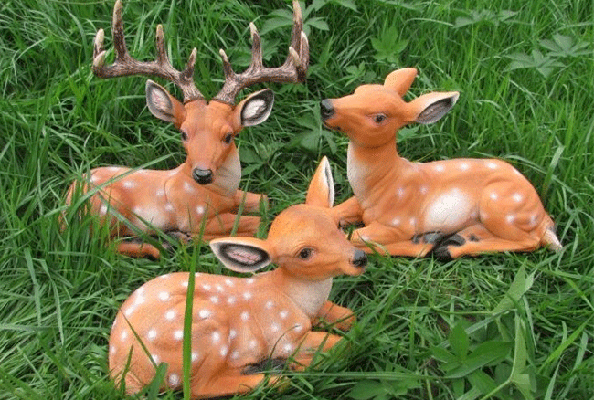 �҂���(l��i)����һ�³��о��^���������N�(l��i)��֪�����٣�